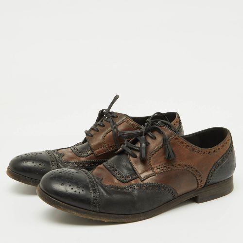 Brown Brogue Leather Lace Up Derby Size 41.5 - Dolce & Gabbana - Modalova