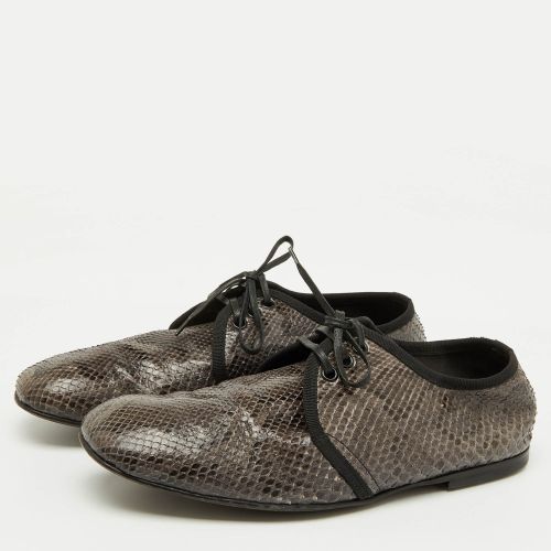 Black Python Lace Up Derby Size 40 - Dolce & Gabbana - Modalova