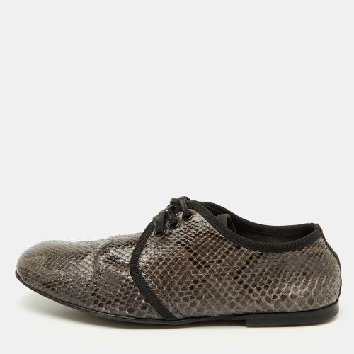 Dolce & Gabbana Grey/Black Python Lace Up Derby Size 40 - Dolce & Gabbana - Modalova