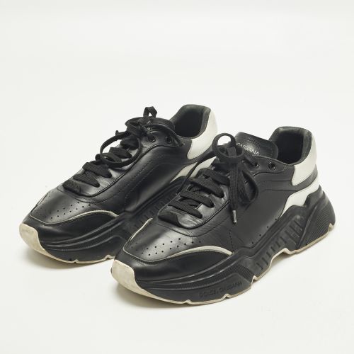 Daymaster Size 43 /White Leather Low Top Sneakers - Dolce & Gabbana - Modalova
