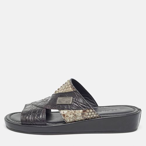 Dolce & Gabbana Black/Green Crocodile and Python Leather Criss Cross Flat Slides Size 40 - Dolce & Gabbana - Modalova