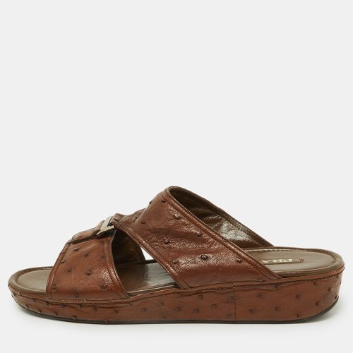 Prada Brown Ostrich Leather Flat Sandals Size 44 - Prada - Modalova