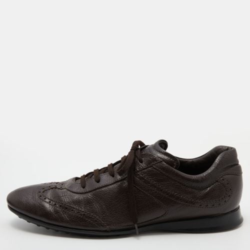 Tod's Dark Brown Brogue Leather Lace Up Derby Size 44.5 - Tod's - Modalova