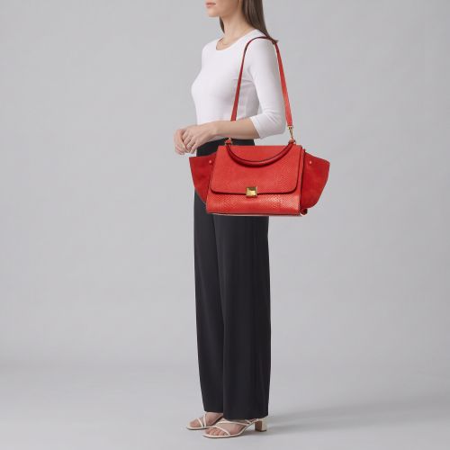 Trapeze Python and Suede Top Handle Bag - Celine - Modalova