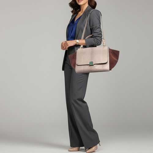 Trapeze Medium /Burgundy Python and Suede Top Handle Bag - Celine - Modalova