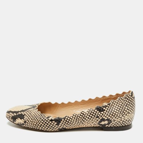 Chloé Lauren Scalloped Size 35.5 /Biege Python Embossed Leather Ballet Flats - Chloe - Modalova