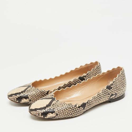 Chloé Lauren Scalloped Size 35.5 /Biege Python Embossed Leather Ballet Flats - Chloe - Modalova