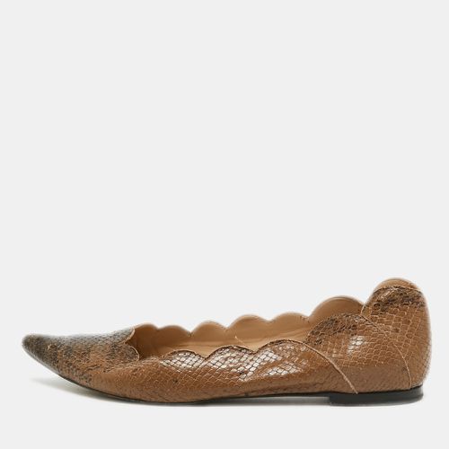 Chloe Two Tone Scalloped Embossed Python Pointed Toe Ballet Flats Size 40 - Chloe - Modalova