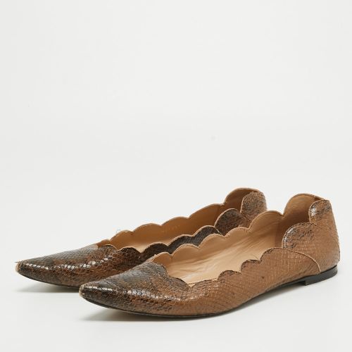 Two Tone Scalloped Embossed Python Pointed Toe Ballet Flats Size 40 - Chloe - Modalova
