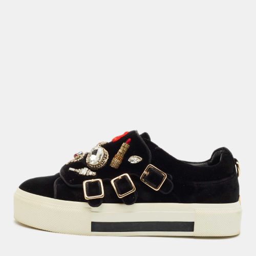 Alexander McQueen Black Velvet Crystal Embellished Buckle Sneakers Size 39 - Alexander McQueen - Modalova