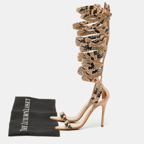 Size 36 Python Embossed Leather Gladiator Sandals - Giuseppe Zanotti - Modalova