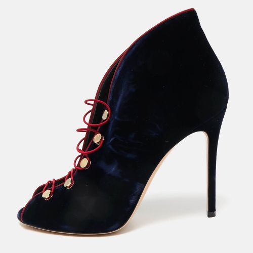 Gianvito Rossi Navy Blue Velvet Miral Booties Size 41 - Gianvito Rossi - Modalova