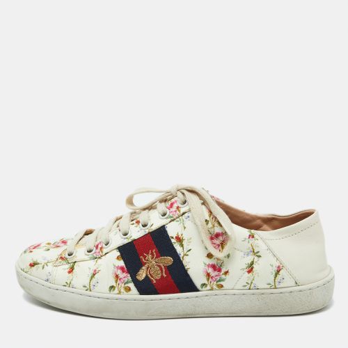 Gucci Multicolor Canvas and Leather Web Bee Ace Low Top Sneakers Size 36.5 - Gucci - Modalova