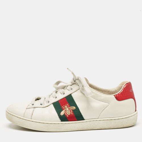 Gucci White Leather Ace Web Low Top Sneakers Size 36.5 - Gucci - Modalova