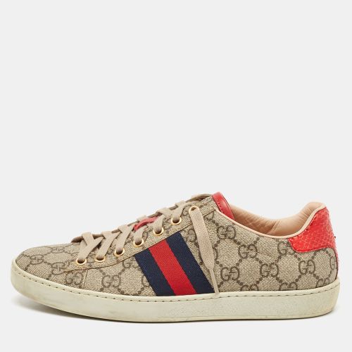 Brown GG Canvas Ace Web Sneakers Size 37 - Gucci - Modalova