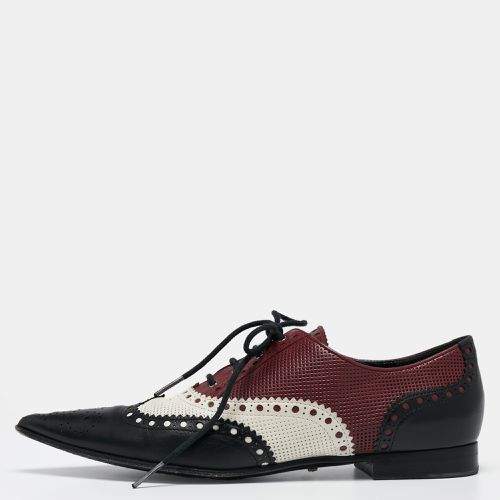 Gucci Multicolor Leather Pointed Toe Brogue Oxford Size 36 - Gucci - Modalova