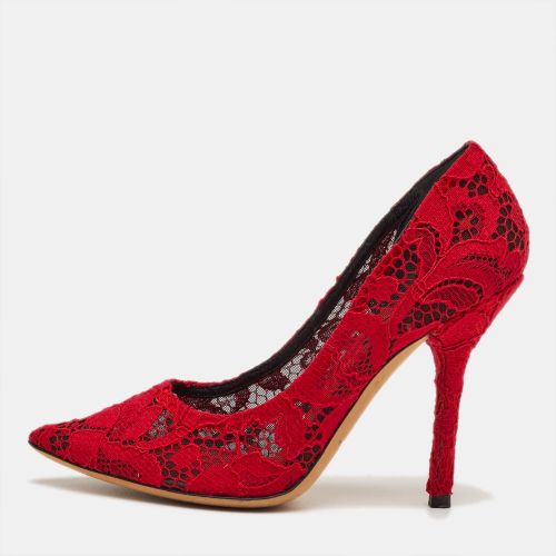 Size 36 Bright Bellucci Lace Pointed Toe Pumps - Dolce & Gabbana - Modalova
