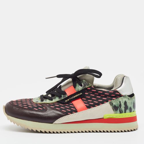 Size 36 Coated Canvas and Fabric Low Top Sneakers - Dolce & Gabbana - Modalova