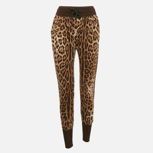 Dolce & Gabbana Brown Leopard Cotton Knit Joggers S - Dolce & Gabbana - Modalova