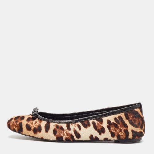 Dolce & Gabbana Brown/Beige Leopard Print Calf Hair Ballet Flats Size 36 - Dolce & Gabbana - Modalova