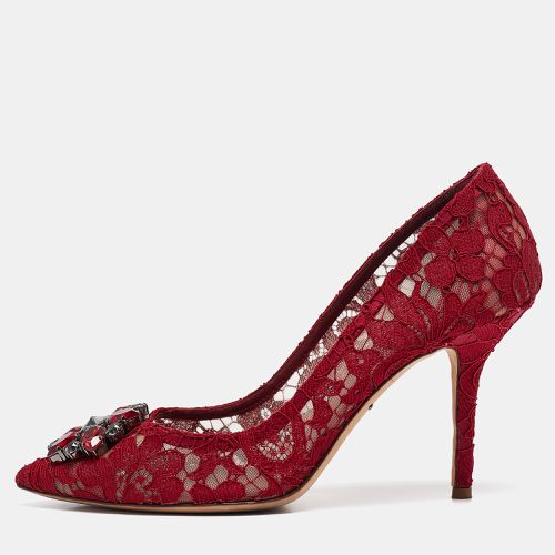 Dark Lace Bellucci Pumps Size 39 - Dolce & Gabbana - Modalova