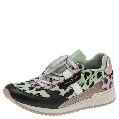 Dolce & Gabbana Multicolor Leopard Print Canvas And Leather Low Top Sneakers Size 38 - Dolce & Gabbana - Modalova