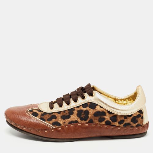 Dolce & Gabbana Brown Leather and Canvas Leopard Print Low Top Sneakers Size 40.5 - Dolce & Gabbana - Modalova