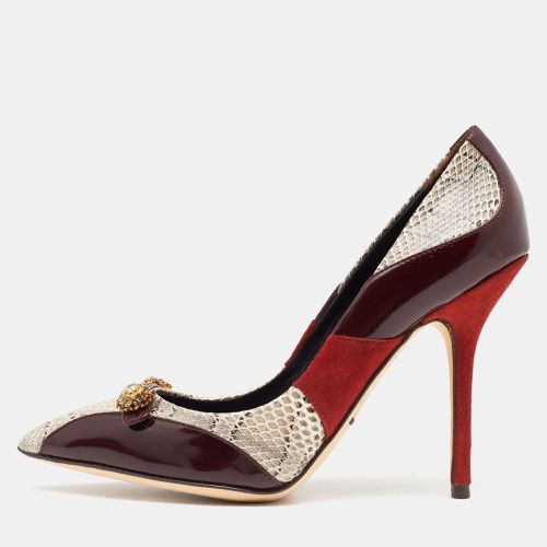 Dolce & Gabbana Tricolor Suede and Watersnake Pointed Toe Pumps Size 36 - Dolce & Gabbana - Modalova