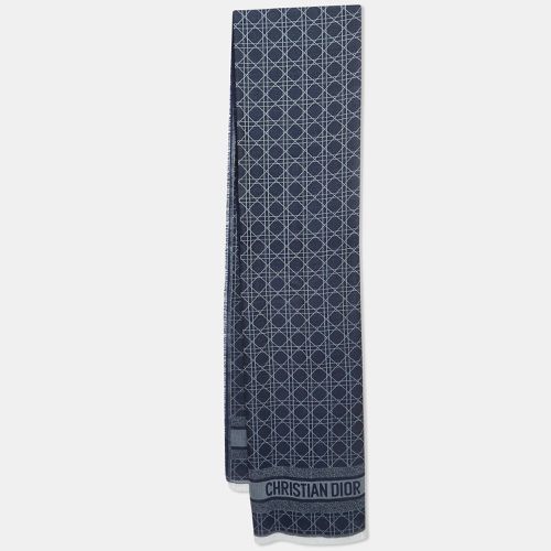 Christian Dior Blue Patterned Cashmere Blend Scarf - Dior - Modalova