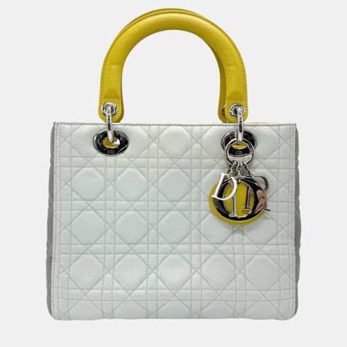 Christian Leather Light Gray Yellow Silver Lady Handbag - Dior - Modalova