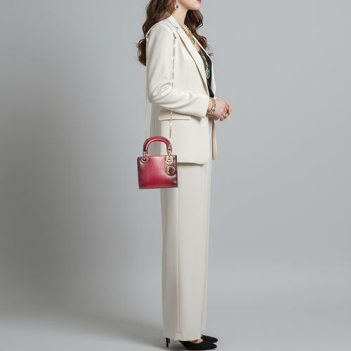 Lady Mini Ombre Python Tote - Dior - Modalova