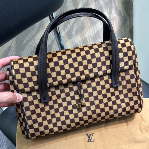 Louis Vuitton Ponyhair Damier Sauvage Lionne Handbag - Louis Vuitton - Modalova