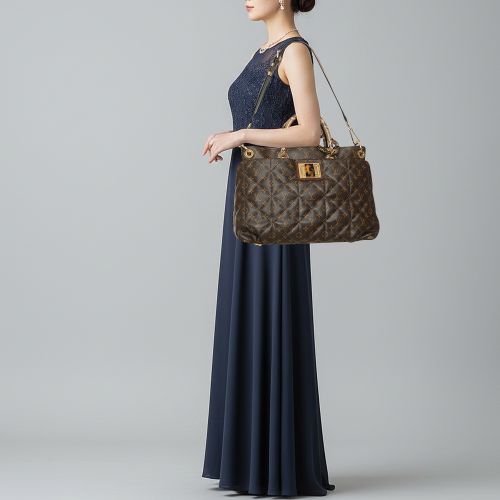 Etoile Exotique GM Monogram Canvas and Python Bag - Louis Vuitton - Modalova