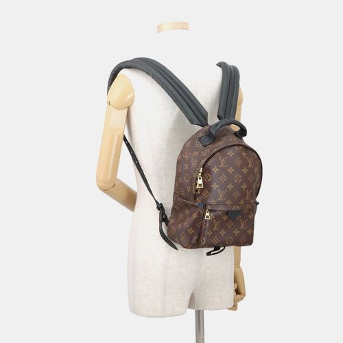 Palm Springs PM Monogram Canvas Backpack Bag - Louis Vuitton - Modalova