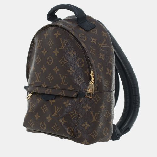 Palm Springs PM Monogram Canvas Backpack Bag - Louis Vuitton - Modalova