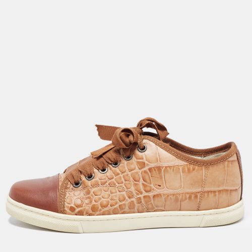 Lanvin Brown Croc Embossed Leather Lace Up Low Top Sneakers Size 36 - Lanvin - Modalova