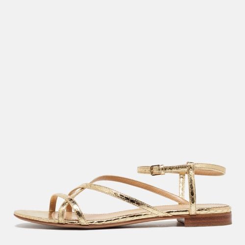 Sergio Rossi Gold Snakeskin Strappy Flat Sandals Size 37 - Sergio Rossi - Modalova