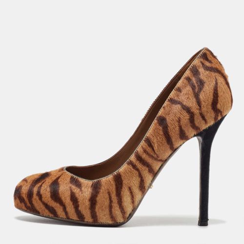 Sergio Rossi Brown Tiger Stripes Print Calf Hair Platform Pumps Size 36.5 - Sergio Rossi - Modalova