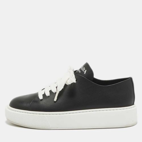 Prada Black Leather Low Top Sneakers Size 37 - Prada - Modalova