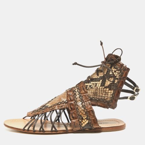 Roberto Cavalli Brown Crocodile and Python Leather Lace Up Sandals Size 36 - Roberto Cavalli - Modalova