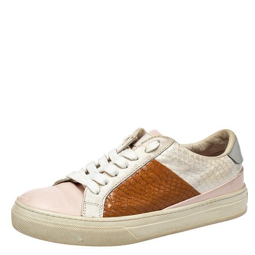 Tod's Multicolor Python And Leather Lace Up Sneakers Size 36 - Tod's - Modalova