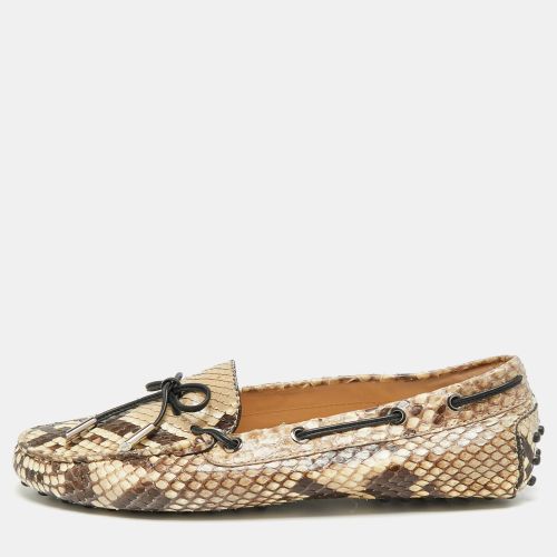 Gommino Size 39 /Brown Python Leather Driver Loafers - Tod's - Modalova