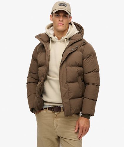 Herren Steppjacke, Größe: M - Größe: M - Superdry - Modalova