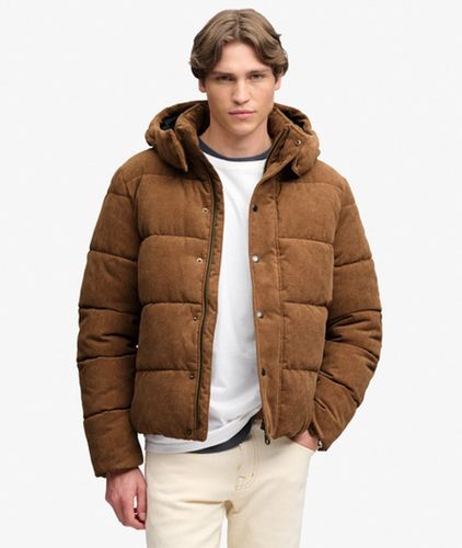 Herren Premium Cord Steppjacke mit Kapuze - Größe: M - Superdry - Modalova