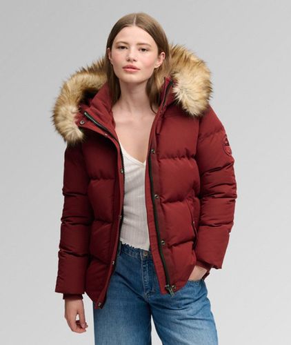 Damen Everest Classic Pufferjacke - Größe: 34 - Superdry - Modalova