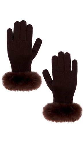Lucie Glove in - Adrienne Landau - Modalova