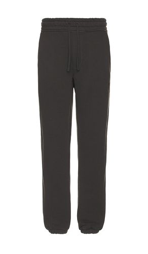 Haven Sweatpant in . Size M. Also in S - ALLSAINTS - Modalova