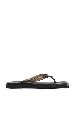 Flip Flops in . Size 37. Also in 38, 39, 40, 41 - Dirt - Modalova