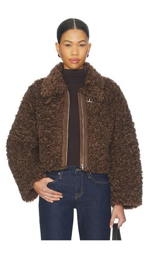 Rio Faux Fur Jacket in . Taglia L. Also in M, S, XL, XS - Elodie the Label - Modalova