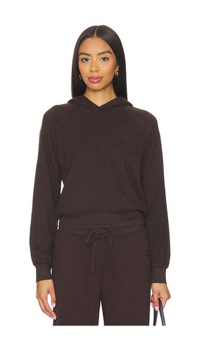 Sudadera con capucha en color marrón talla M (también en S, XL, XS) - Eterne - Modalova